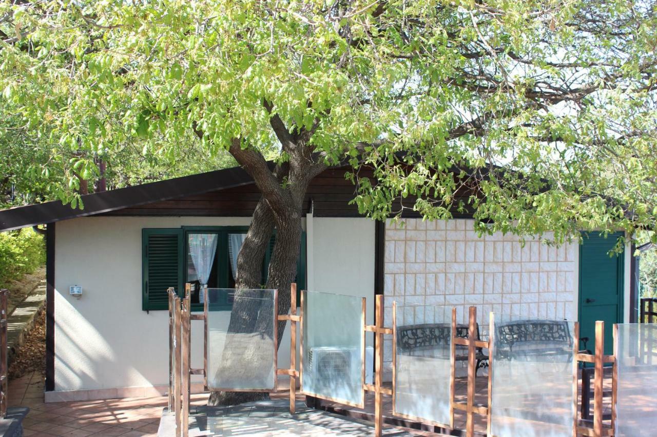 Villa Sciarelle ピエディモンテ・エトネーオ エクステリア 写真
